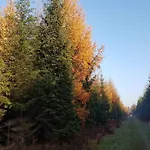 4 Person In Skaerbaek-by Traum 度假居
