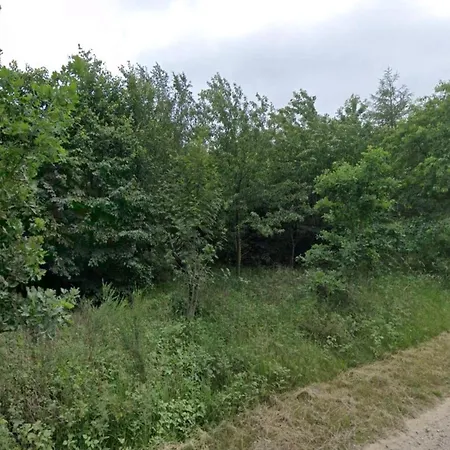 4 Person In Skaerbaek-by Traum *