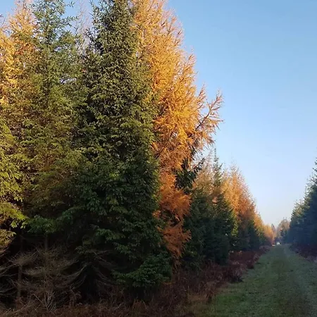 4 Person In Skaerbaek-by Traum Feriehus