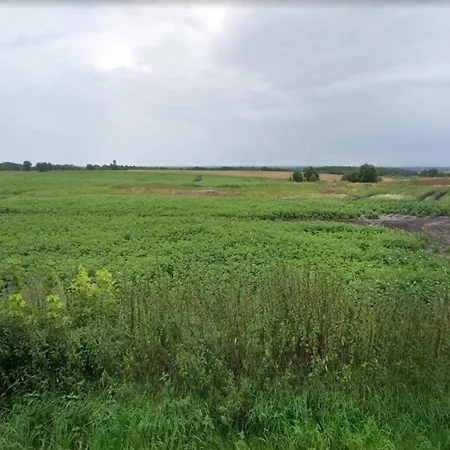 Feriehus 4 Person In Skaerbaek-by Traum *