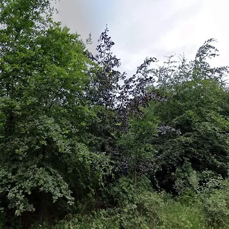 4 Person In Skaerbaek-by Traum