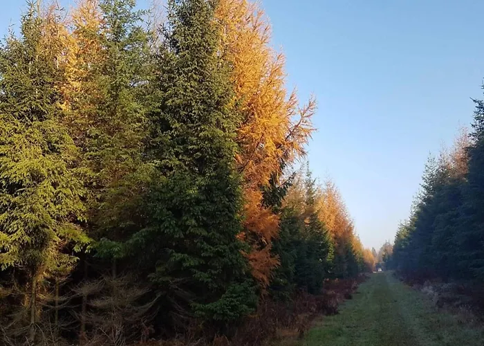 4 Person In Skaerbaek-by Traum Prázdninový dům
