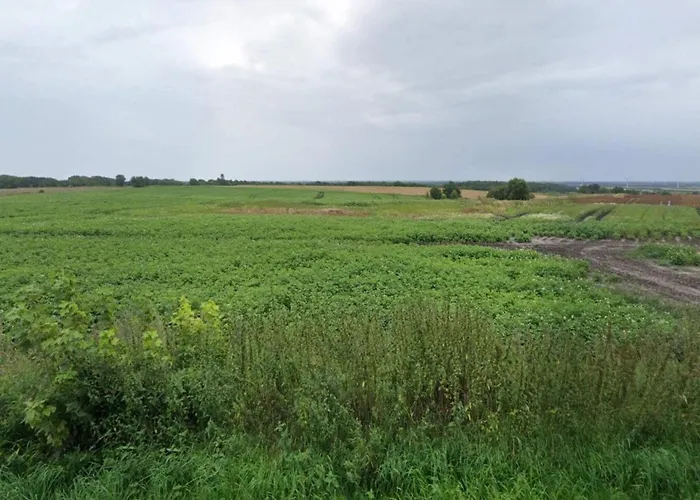 Prázdninový dům 4 Person In Skaerbaek-by Traum *