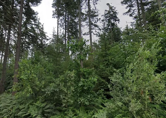 4 Person In Skaerbaek-by Traum