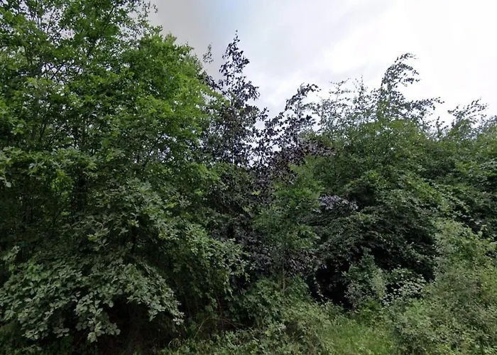 4 Person In Skaerbaek-by Traum